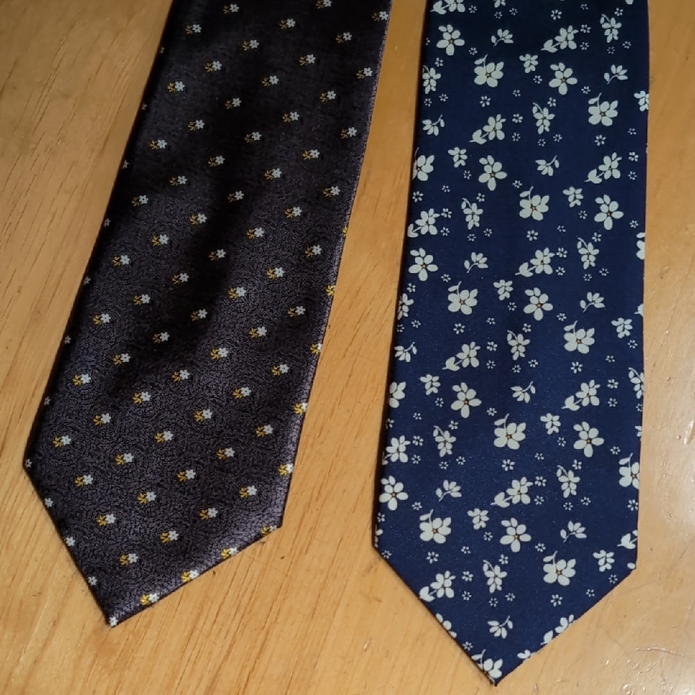 Albertini Silk Hand Made Ties, Like New, Set of 2 for $15 OBO